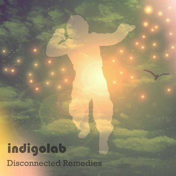 Disconnected Remedies cover art