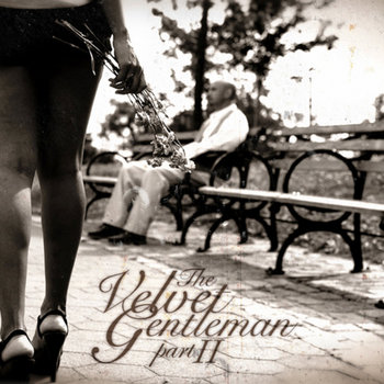 The Velvet Gentleman II cover art