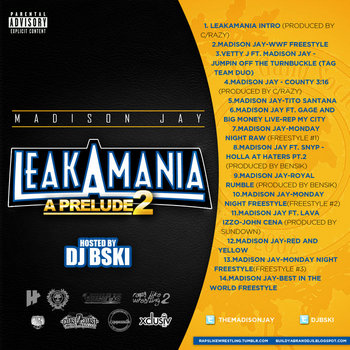 Leak-A-Mania cover art