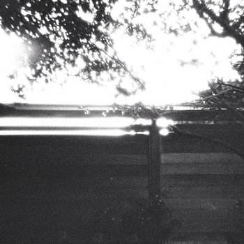 Maltross / Rvins split cover art