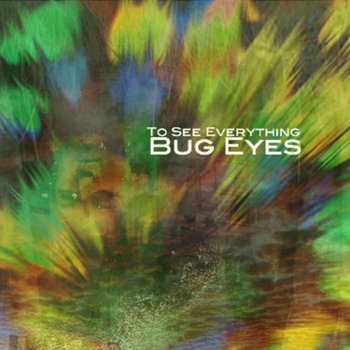 To See Everything cover art