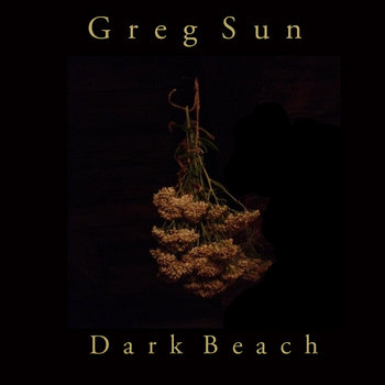 D a r k  B e a c h cover art