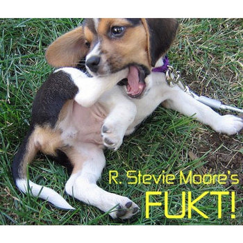 Fukt! cover art