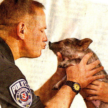 PIGS kissing PIGS EP cover art
