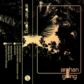 Going cover art