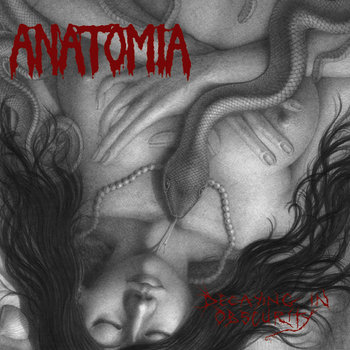 Decaying in Obscurity cover art