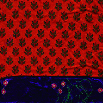 Dalmation Bitch cover art