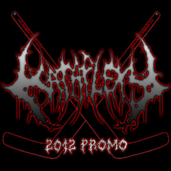 Promo 2012 cover art