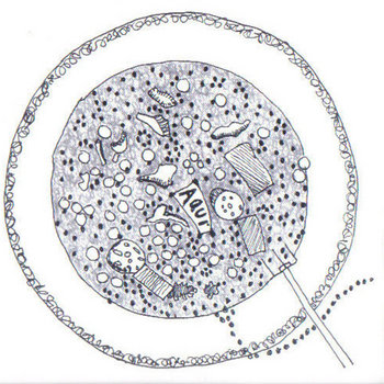 Doropaedia: Gastronomía cover art
