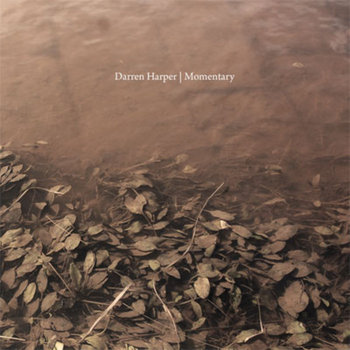 Momentary cover art