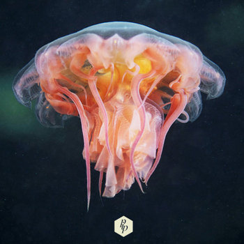 ...But The Ones That Do Get Lost in the Sky (Rework Collection) cover art