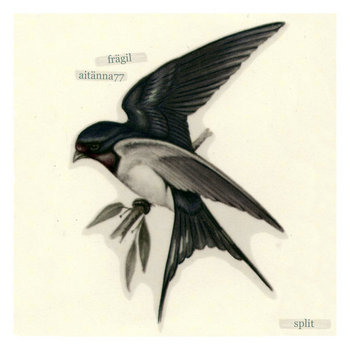 Frägil / Aitänna77 Split cover art