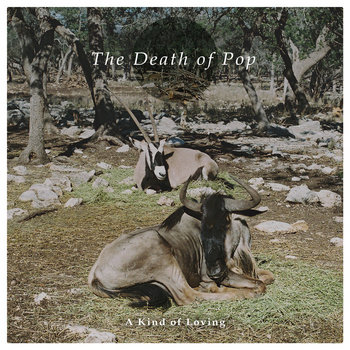 A Kind Of Loving cover art