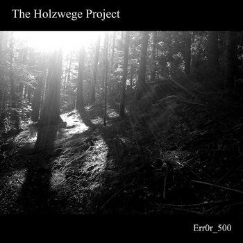 The Holzwege Project cover art