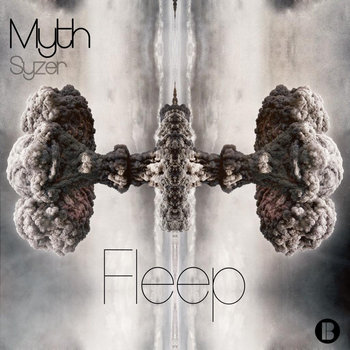 Fleep cover art