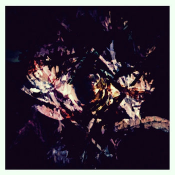 Flora cover art