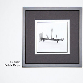 Picture cover art