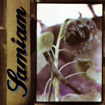 samiam cover art