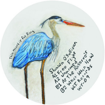 WT 09 "Free Flight" cover art
