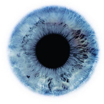 Raw Vision cover art