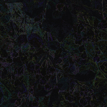 The Light Of Dying Stars cover art