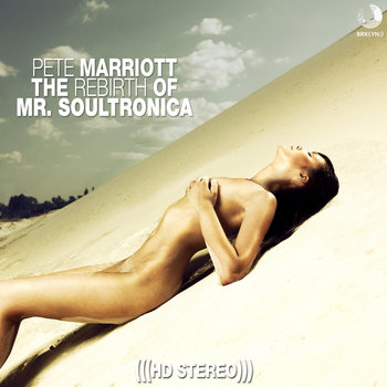 The Rebirth of Mr. Soultronica cover art
