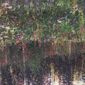 Nectar cover art