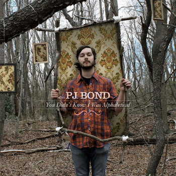 You Didn't Know I Was Alphabetical cover art