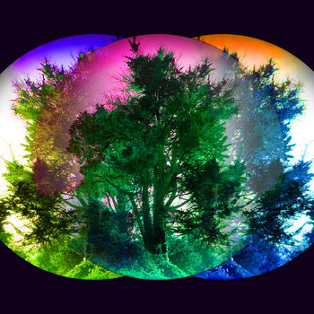 The Imitation Garden cover art