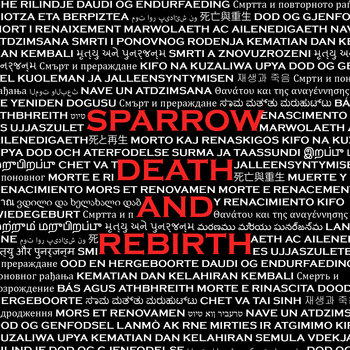 Death & Rebirth cover art