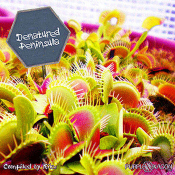 Denatured Peninsula - V.A. (Purple Hexagon) cover art