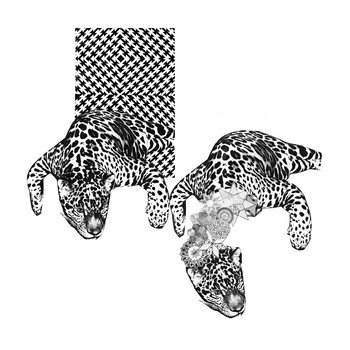 Cover The Sky 7" cover art