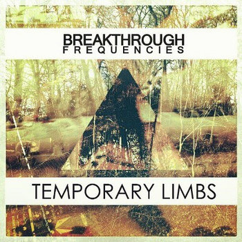 Temporary Limbs cover art