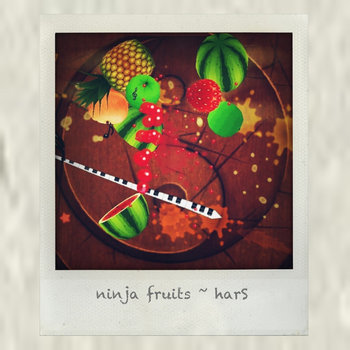 Ninja Fruits cover art