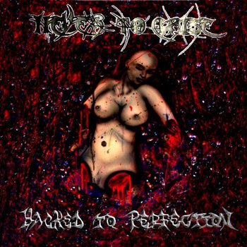 Hacked To Perfection cover art