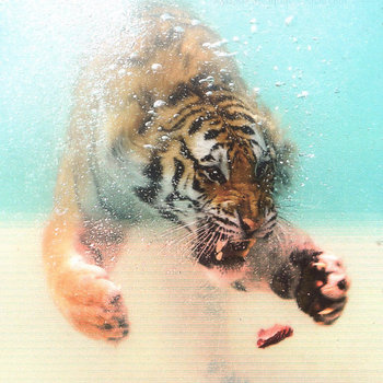 Supershark cover art