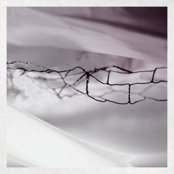 Moon Dog cover art