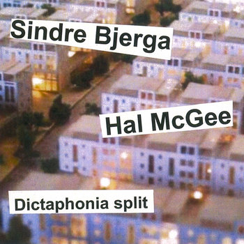 Dictaphonia split #6 cover art