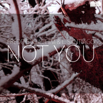 Not You cover art
