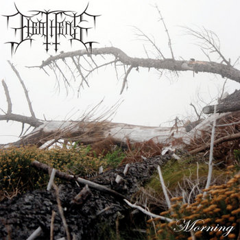 Morning cover art