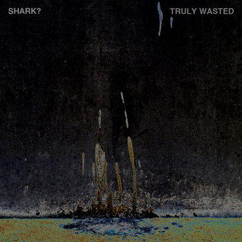 Truly Wasted EP cover art
