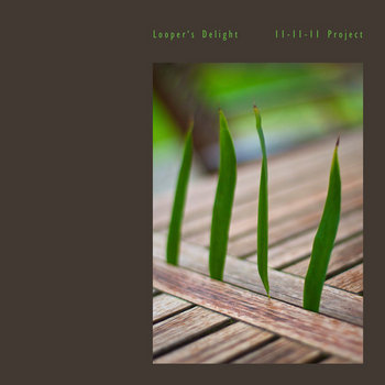 Looper's Delight 11-11-11 Project cover art