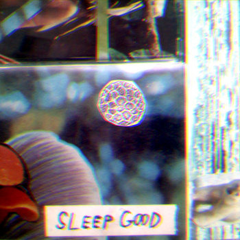Strange Vacations cover art