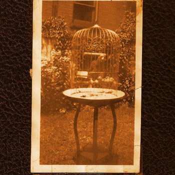 Reptilian Revival cover art