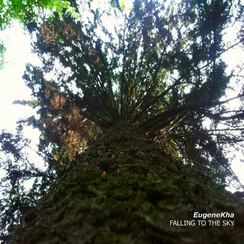 Falling To The Sky cover art