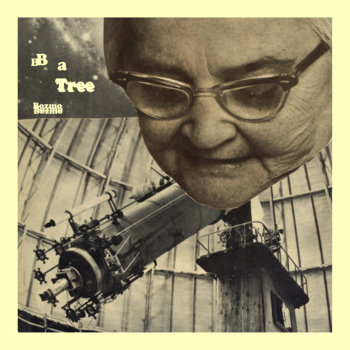 B a Tree cover art