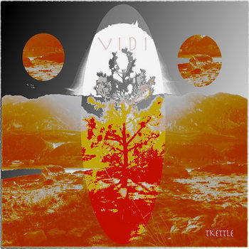 VIDI cover art
