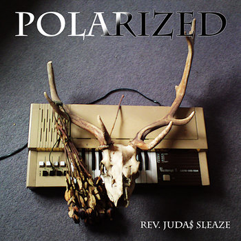 Polarized E.P. cover art