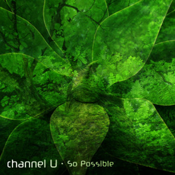So Possible cover art