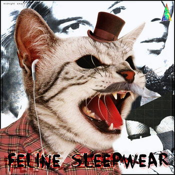 Feline Sleepwear cover art